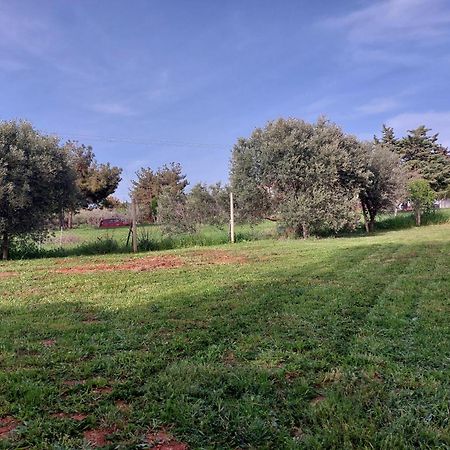 אלכסנדרופולי Black N' White Cozy Housegarden מראה חיצוני תמונה